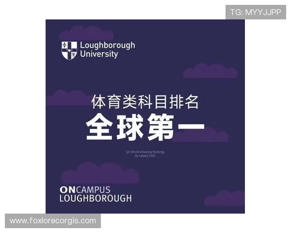 2426体育打造专业的体育资讯平台满足不同用户的多样需求